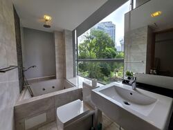 Angullia Park Residences @ Orchard (D10), Apartment #601005071